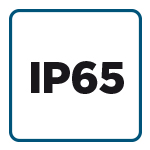 ip-65.jpg